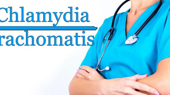 The-Modern-Interior-Design-Studio-Websites-Hero-Header-Blog-1