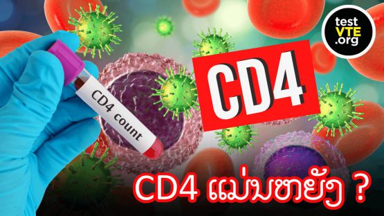 POSTTTTTTT PWUD (15) (1)